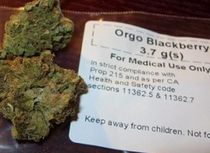 Buds of pot on  the left that look like just a ball of dirt, and a paper next to them that says Orgo Blackberry for Medical 