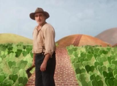 Man standing in a field