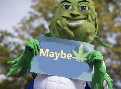 Character in a green costume