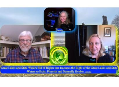 People in an online meeting