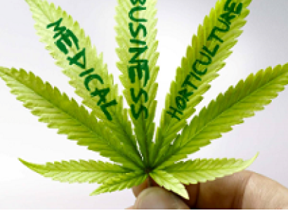 Marijuana leaf with words on the leaves saying Medical Business and Horticulture