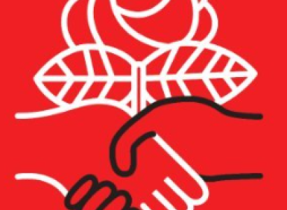 Hands shaking under rose DSA Logo