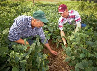 Two white male farmers in a field of crops