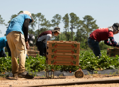 Farmworkers