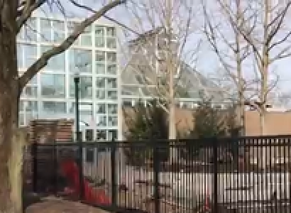 Iron gate with grass and trees on one side and big building with a lot of windows on the other side