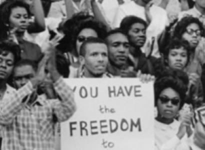 You have the freedom to vote sign held at a rally