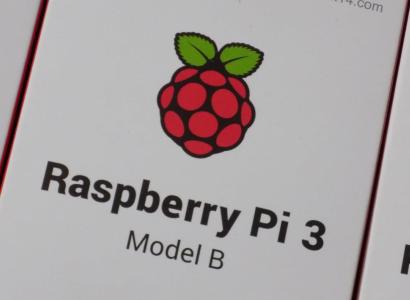 Raspberry Pi logo - a little raspberry