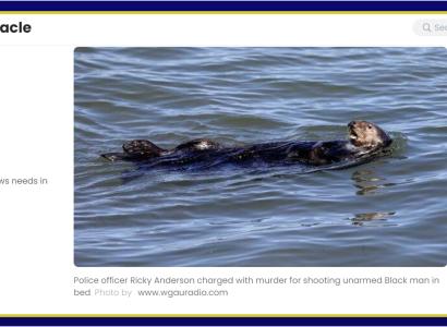 Otter floating on its back