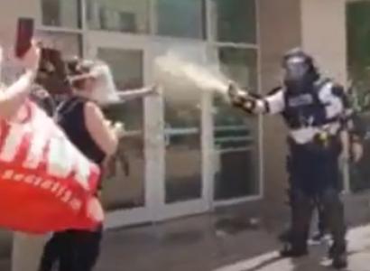 Cop spraying a protestor