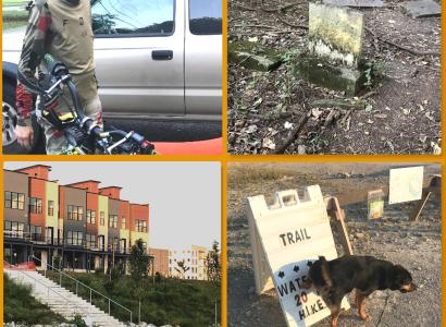 Collage of photos about the park