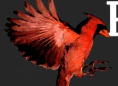 Cardinal