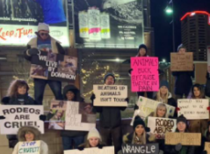 Rodeo protest
