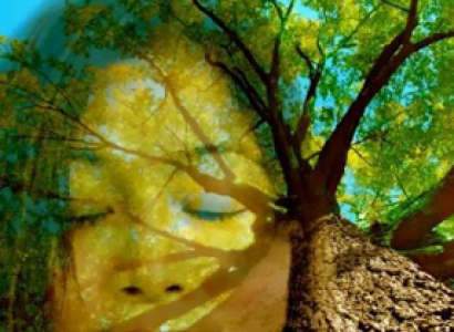 Woman's face against a tree