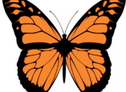 Monarch butterfly