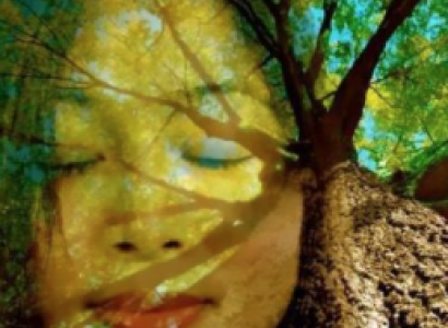 Artistic photo of woman and tree