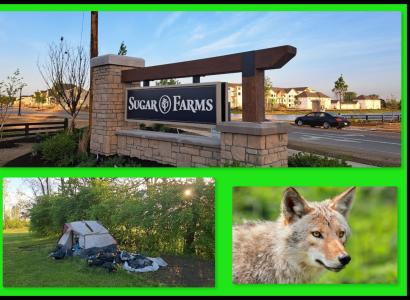 Sugar Farms sign and building
