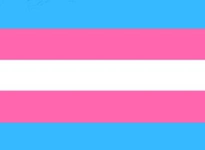 Trans flag