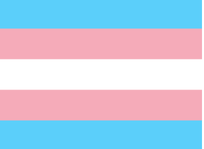 Pink, white and light blue striped flag, the trans flag
