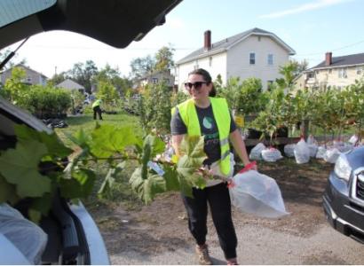 Woman putting tree in car trunk
