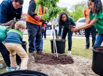 Young people planting trees