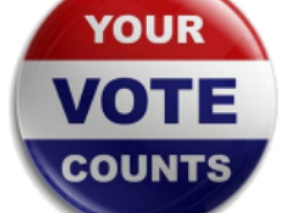 Your vote counts button