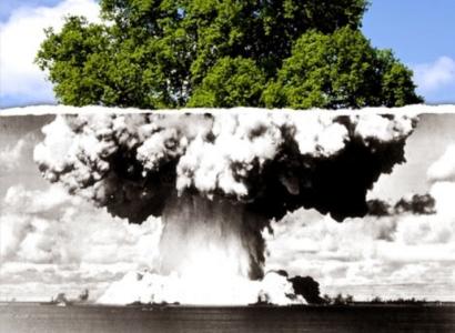 Photo showing an atomic blast at the bottom morping into a tree at the top