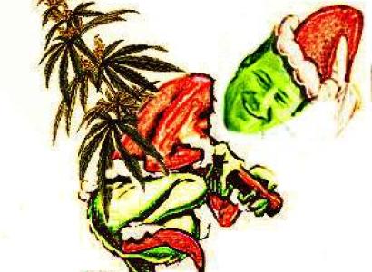 John Husted as the grinch holding a marijuana tree