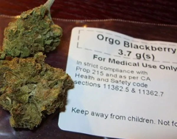 Buds of pot on  the left that look like just a ball of dirt, and a paper next to them that says Orgo Blackberry for Medical 