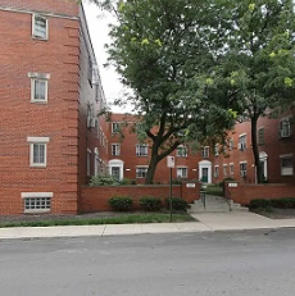 Red brick apartments with a big green tree in a courtyard in the middle