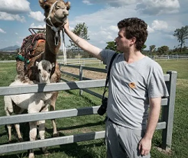 Young white man reaching over a white fence to scratch the chin of a camel with a little baby camel beside it
