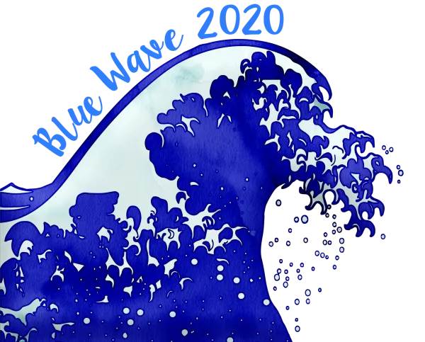 Hopes of a Blue Wave Sweeping Democrats to Power in US Senate Crash on Georgia's Shores