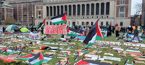Palestinian flag and other signs on the lawn