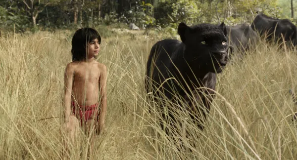 Mowgli (Neel Sethi) and panther friend Bagheera (Ben Kingsley) in The Jungle Book (Disney Enterprises Inc.)