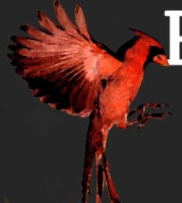 Cardinal