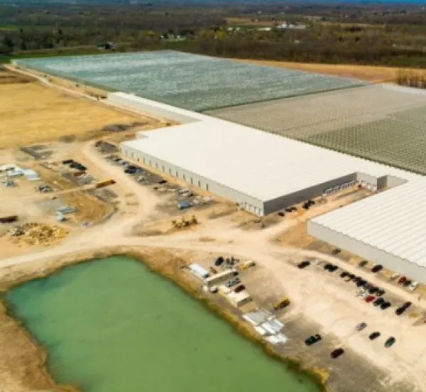 Bird's eye view of long flat buildings