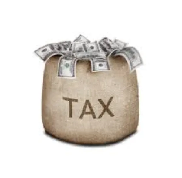 Bag of money with word Tax on it