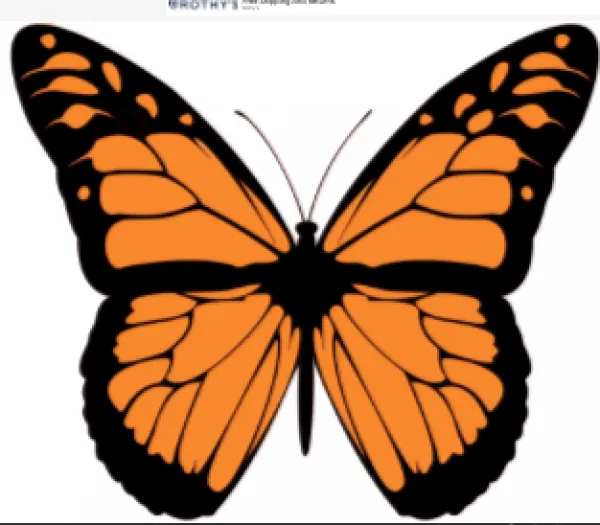 Monarch butterfly