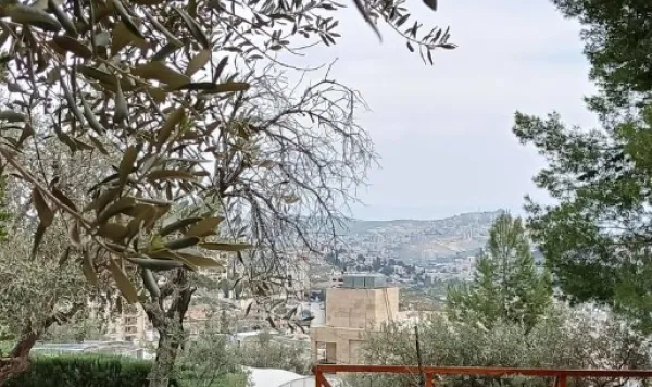 Scene from West Bank