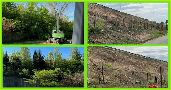 Photos of trees land and then without trees