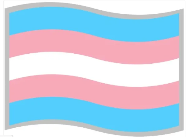 Transgender flag